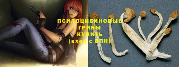 первитин Арсеньев