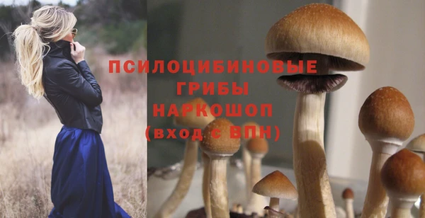 первитин Арсеньев