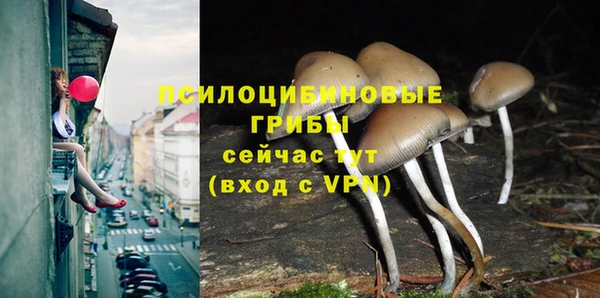 прущая мука Покровск